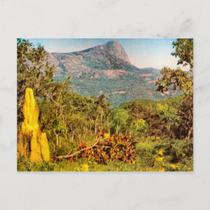 Termitenhügel, Sierra da Hanba, Angola Postkarte