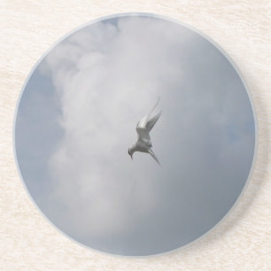 Tern am Himmel Untersetzer