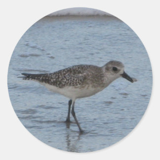Tern Bird auf dem Strandaufkleber Runder Aufkleber