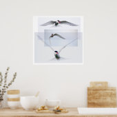 Tern Collection Poster (Küche)