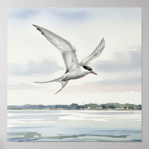 Tern, die über die Bucht fliegen Poster