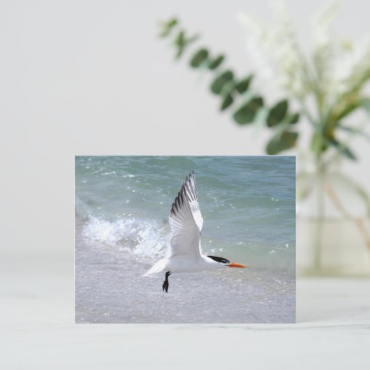 Tern im Flug Postkarte (Stehend Vorderseite)