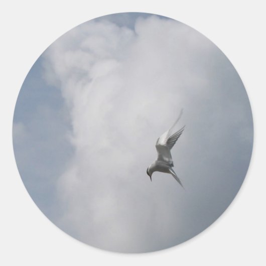 Tern in den Sky-Aufklebern Runder Aufkleber (Vorderseite)