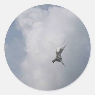 Tern in den Sky-Aufklebern Runder Aufkleber