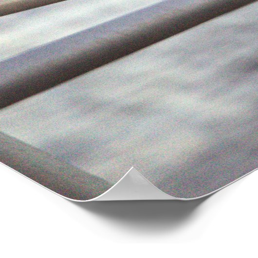 Terns Foto Poster (Ecke)