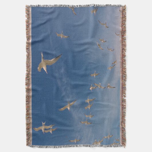 Terns Overhead Decke (Vorderseite Vertikal)