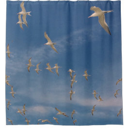 Terns Overhead Duschvorhang