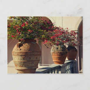 Terra Cotta Trio Postkarte