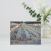 Terra Cotta Warriors Postkarte (Stehend Vorderseite)