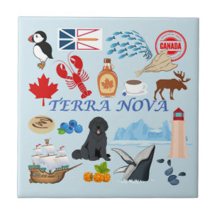 Terra Nova Newfundland Fliese