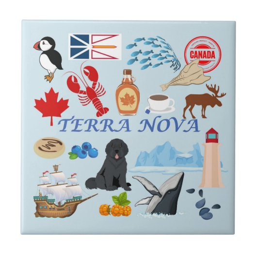 Terra Nova Newfundland Fliese (Vorderseite)