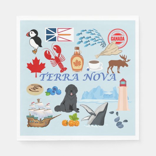 Terra Nova Newfundland Serviette (Vorderseite)
