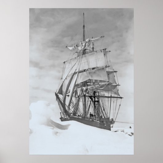 Terra Nova Poster (Vorne)