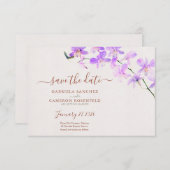 Terracotta auf dem Monte Tamaro (Vorne/Hinten)