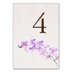 Terracotta auf dem Monte Tamaro Tischnummer