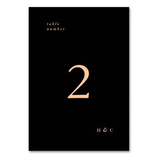 Terracotta Black Simple Schlicht Modern Wedding Tischnummer (Rückseite)