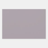 Terracotta-Blume mit grauen Blätter auf schwarz (Vorderseite 3)