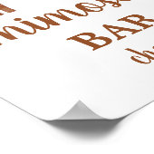 Terracotta Boho Rainbow Mimosa Bar Poster (Ecke)