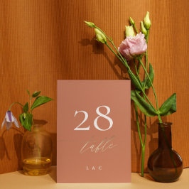 Terracotta Dusty Orange Tischnummer