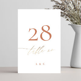 Terracotta Dusty Orange Tischnummer