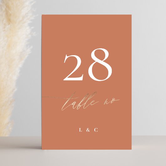 Terracotta Dusty Orange Tischnummer