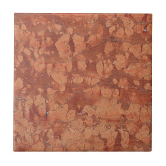 Terracotta Fliese (Vorderseite)