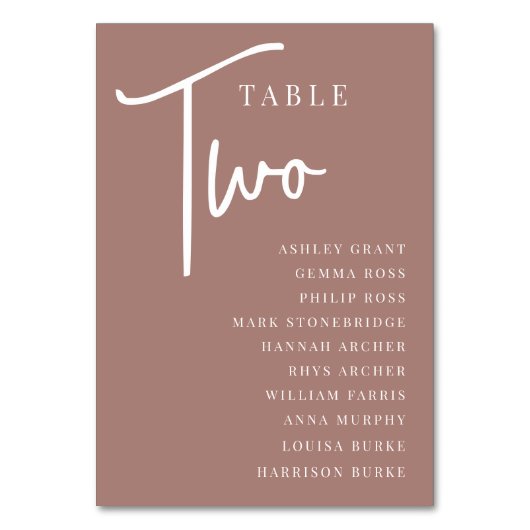 Terracotta Hand Scripted Tabelle TWO + Gästebamen Tischnummer (Vorderseite)