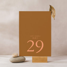 Terracotta Moss Green Einfache Schlichte Hochzeit Tischnummer