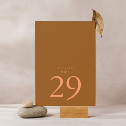 Terracotta Moss Green Einfache Schlichte Hochzeit Tischnummer