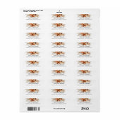 Terracotta pampas grass verbranntes orangefarbenes (Vorne)