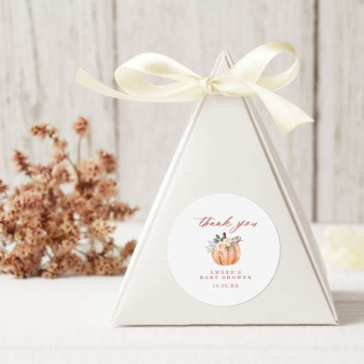 Terracotta Pumpkin Baby Dusche Vielen Dank Runder Aufkleber