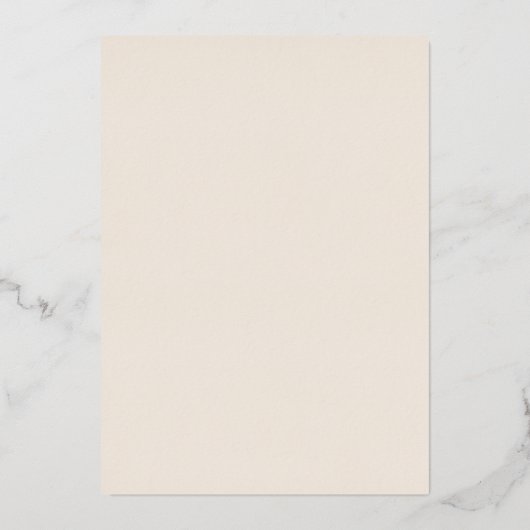 Terracotta Retro Bold Typografy Sweet 16 Birthday Folieneinladung (Rückseite)