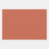 Terracotta Solid Color Wrapping Paper Sheets Geschenkpapier Set (Vorderseite 3)