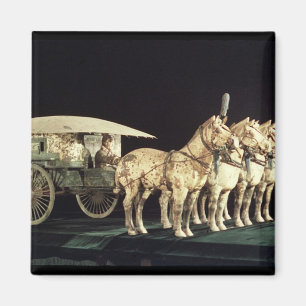 Terrakotta-Armee, Qin-Dynastie Magnet