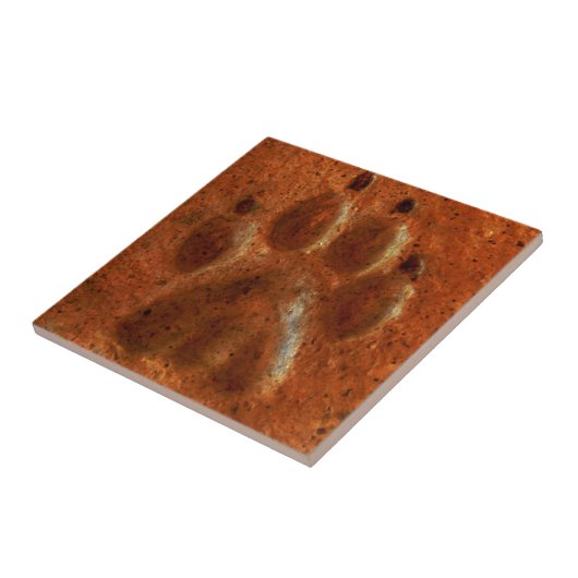 "Terrakotta-Tatzen-Druck" durch Carter L. Shepard Fliese (Seite)