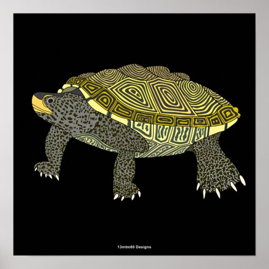 Terrapin (black) - Poster Print (Vorne)