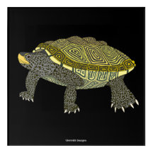 Terrapin (schwarz) - Acryldruck