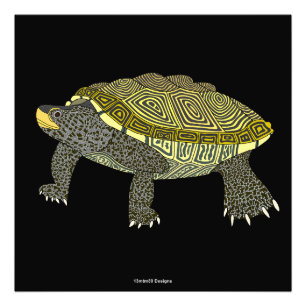 Terrapin (schwarz) - Fotodruck