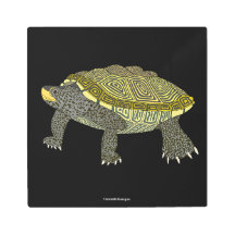 Terrapin (schwarz) - Metalldruck