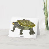 Terrapin (weiß) - Grußkarte Karte (Vorderseite)