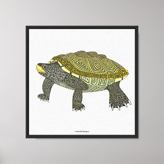 Terrapin (weiß) - Leinwanddruck (Vorderseite)
