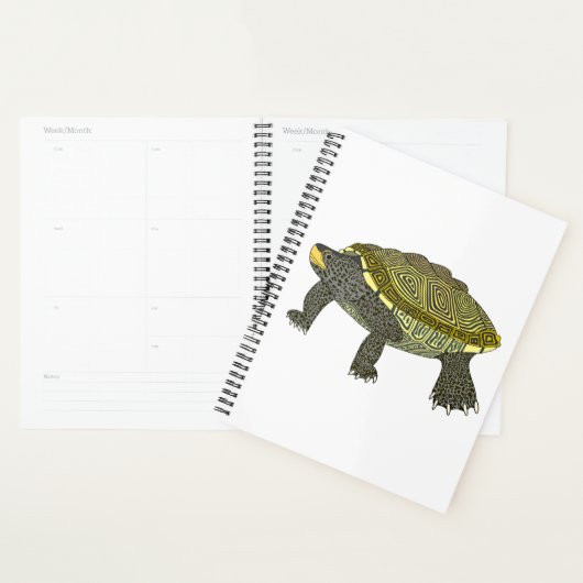 Terrapin (weiß) - Planer (Anzeige)
