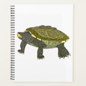 Terrapin (weiß) - Planer (Vorderseite)