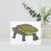 Terrapin (weiß) - Postkarte (Stehend Vorderseite)