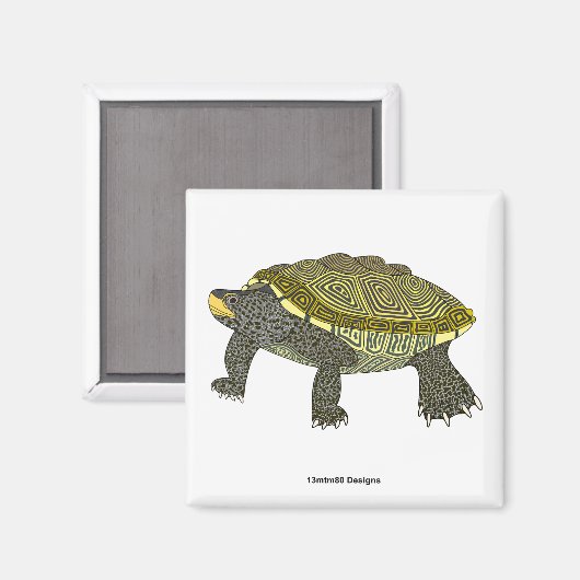Terrapin (weiß) - Quadratischer Magnet (Vorderseite/Rückseite)