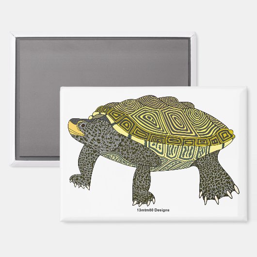 Terrapin (weiß) - Rechteck-Magnet Magnet (Vorderseite/Rückseite)