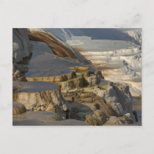 Terrasse Berg bei Mammoth Hot Springs Postkarte