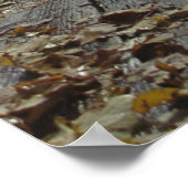 Terrasse Dufferin, Quebec, Kanada Poster (Ecke)