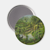 Terrasse Ricefield in Bali Magnet (Vorderseite/Rückseite)