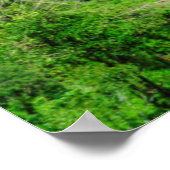 Terrassen für grünen Reis, Philippinen Poster (Ecke)